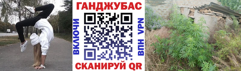 Бошки Шишки марихуана Бодайбо